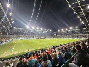 Igra reprezentanca, sedeži pa prazni: velike podražitve vstopnic za športne dogodke v zadnjem desetletju